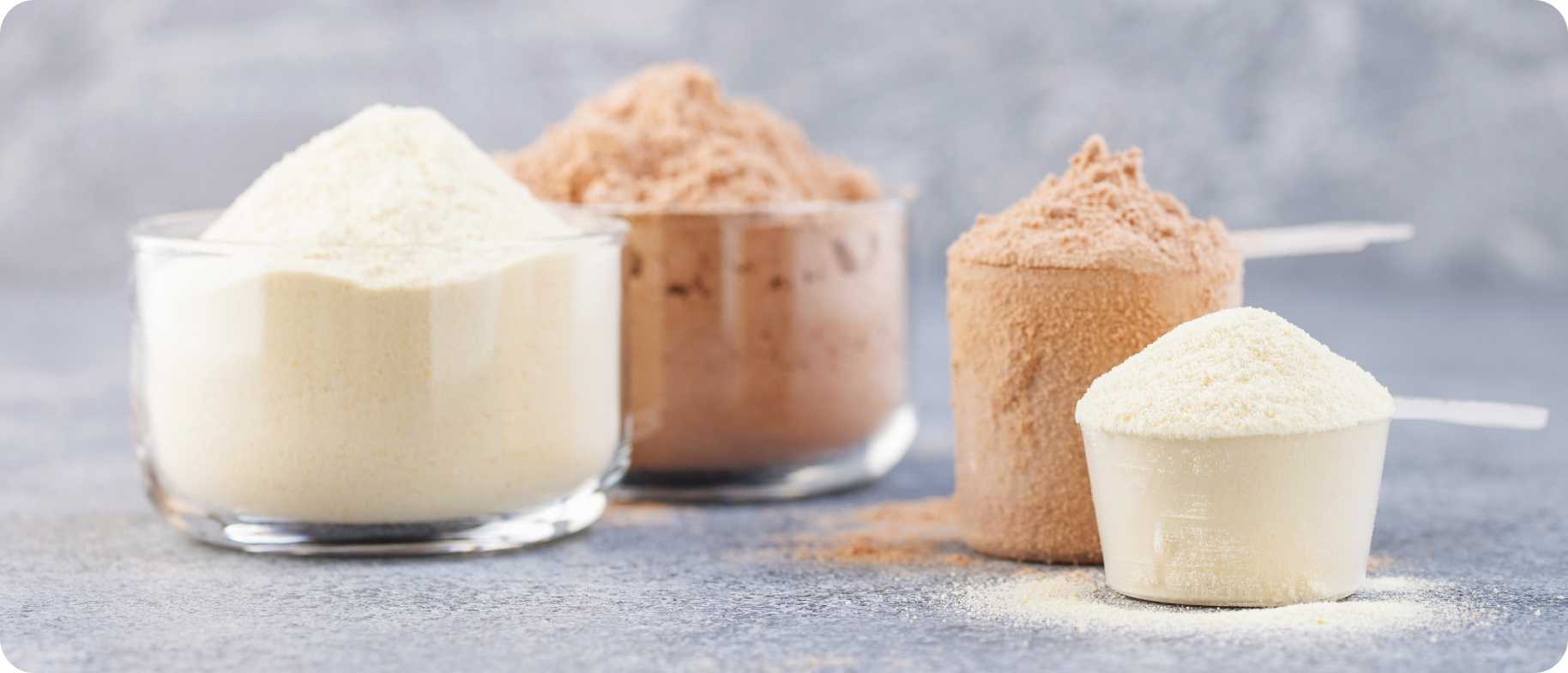 ruzne proteiny prasek